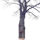 Illustration for article titled This simple optical illusion makes a tree look like its floating